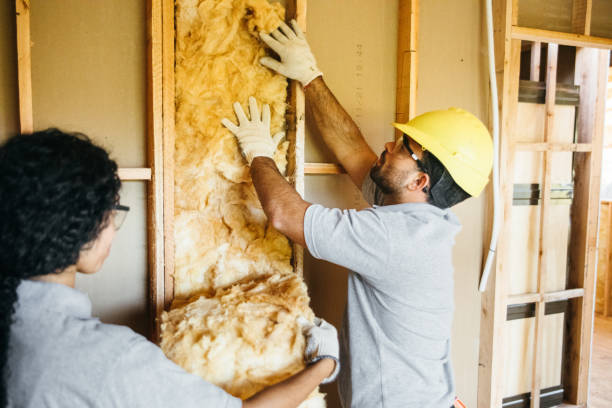 Best Insulation Inspection Services  in North Hobbs, NM